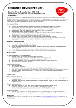 DESIGNER DEVELOPER (BI)