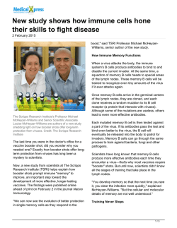 New study shows how immune cells hone their