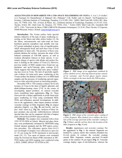 AGGLUTINATES IN HOWARDITE NWA 1769 - USRA