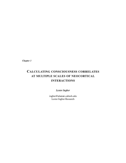 calculating consciousness correlates at multiple scales of