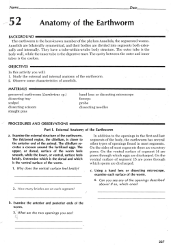File earthworm lab4
