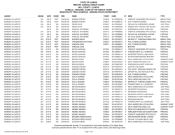 state of illinois twelfth judicial circuit court will county, illinois pamela