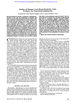 Studies of Human Cord Blood Dendritic Cells: Evidence for