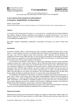 Preview - Magnolia Press