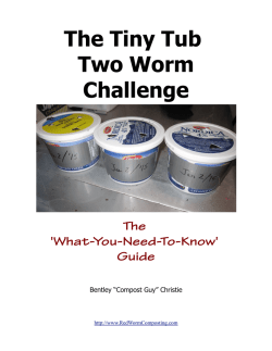 Tiny Tub Challenge Guide