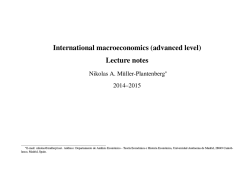 International macroeconomics (advanced level) Lecture notes