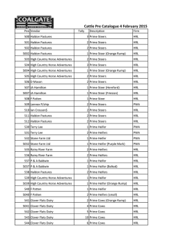 Cattle Pre Catalogue 29 January 2015