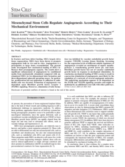 Mesenchymal Stem Cells Regulate Angiogenesis