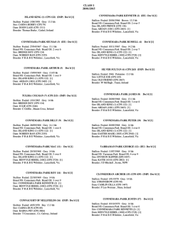 CLASS 1 28/01/2015 - Connemara Pony Breeders
