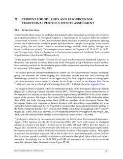 Chapter 22 - Yellowhead Mining Inc.