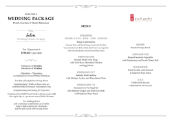 Silver - Peach Garden Catering