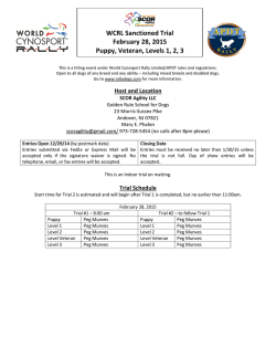 WCRL Sanctioned Trial February 28, 2015 Puppy