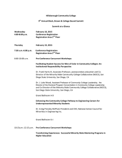 Hillsborough Community College 9th Annual Black, Brown