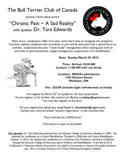 The Bull Terrier Club of Canada &ldquo;Chronic Pain ~ A Sad Reality&rdquo; with