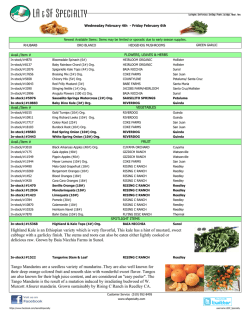Highland Kale is an Ethiopian variety which is very flavorful, This