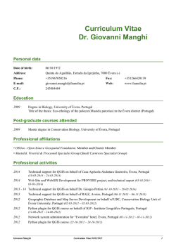 Curriculum Vitae (pdf)