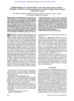 Elliptocytogenic Spectrin Sfax Lacks Nine Amino Acids in