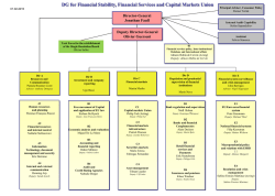 DG for Financial Stability, Financial Services and Capital Markets