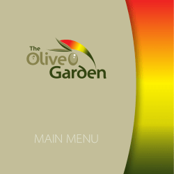 MAIN MENU - Olive Garden