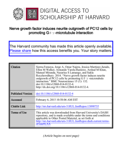 Download Full Text - Harvard University