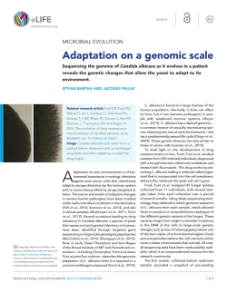 Adaptation on a genomic scale