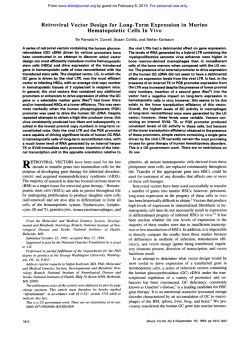 Retroviral Vector Design for Long-Term Expression in