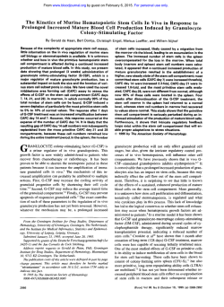 The Kinetics of Murine Hematopoietic Stem Cells In Vivo in