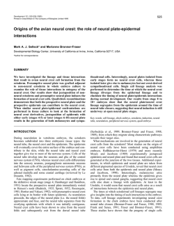 Origins of the avian neural crest: the role of neural plate