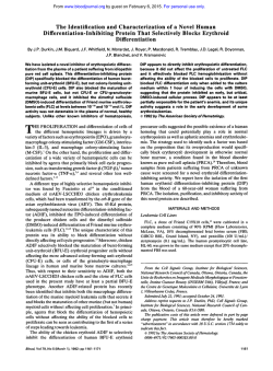 The Identification and Characterization of a Novel Human