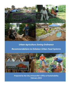 Urban Agriculture Initiative - Zoning Ordinance