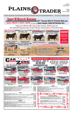 Timeless Treasures LLC