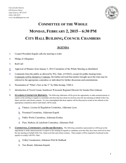 Packet - City of Lake Geneva