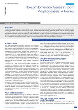 Role of Homeobox Genes in Tooth Morphogenesis: A Review