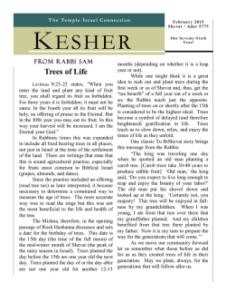 to see it - Temple Israel