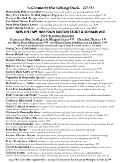 Lunch Specials - The Sitting Duck