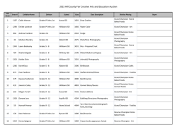 2015 Hill County Creative Arts and Education Auction