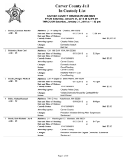 In Custody - Carver County