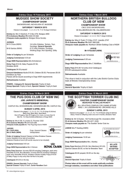 Pug Dog Club NSW Champ Show Sun 5 Apr 2015