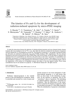 The kinetics of Fe and Ca for the development of