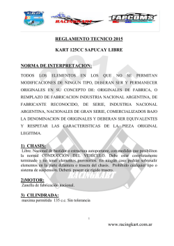REGLAMENTO TECNICO
