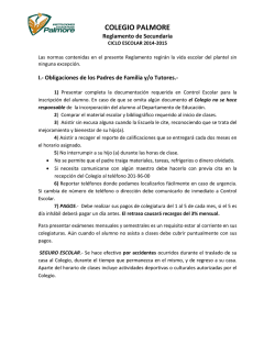 Reglamento - colegio palmore