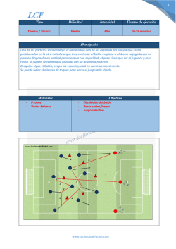 1 Tipo Dificultad Intensidad Tiempo de ejecuci&oacute;n Descripci&oacute;n