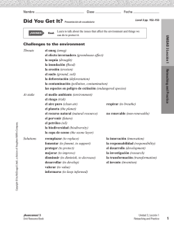 Did You Get It? Presentaci&oacute;n de gram&aacute;tica