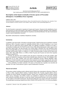 Preview - Magnolia Press