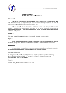 Vibraciones Mec&aacute;nicas.