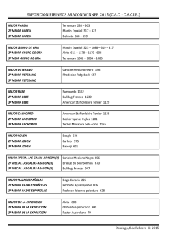 finales absolutas zaragoza 2015