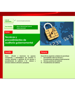 T&eacute;cnicas y procedimientos de auditor&iacute;a gubernamental