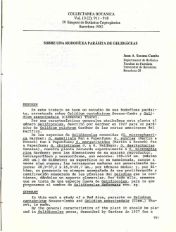 COLLECTANEA BOT&Aacute;NICA Vol. 13 (2): 911 -918 IV