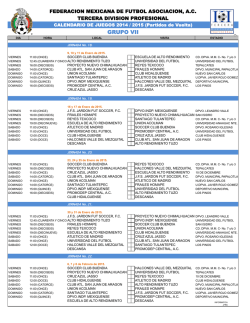 GRUPO VII - Tercera Divisi&oacute;n Profesional