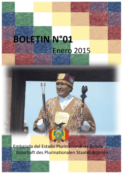 BOLETIN N&deg;01
